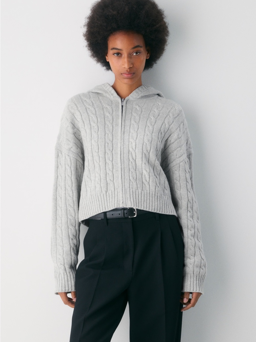 Aritzia Octavia hoodie